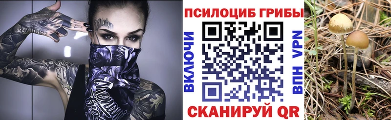 Псилоцибиновые грибы прущие грибы  наркошоп  Венёв 
