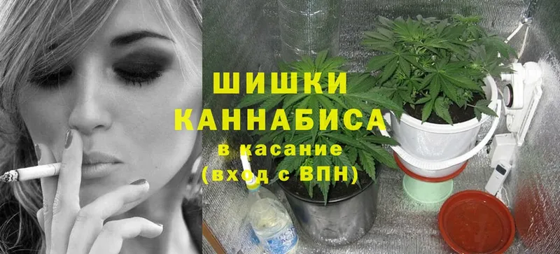 omg как войти  площадка наркотические препараты  Конопля VHQ  Венёв 